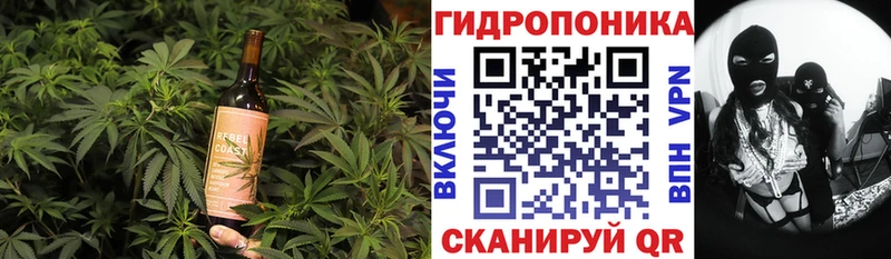 ссылка на мегу ONION  Жиздра  Печенье с ТГК конопля 